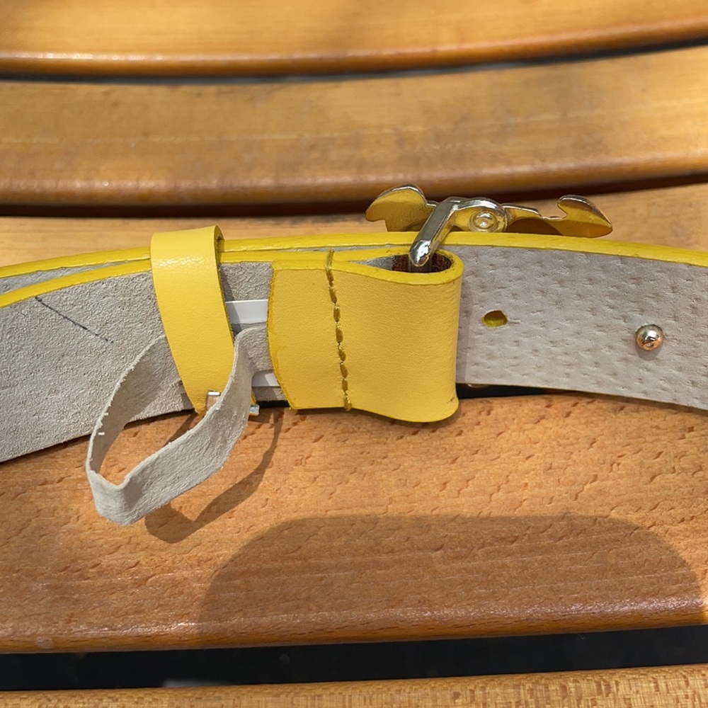 Turtle belt - Picture 3 of 3